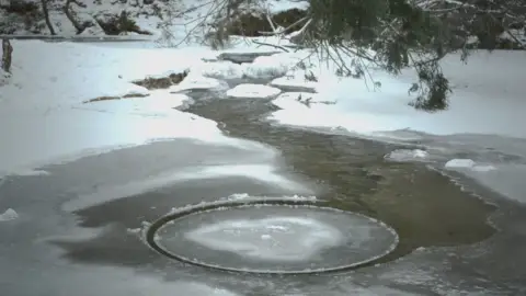 Círculos de hielo Círculos de hielo