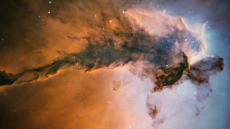 ¿Por qué hay tantas clases de vida en la Tierra?