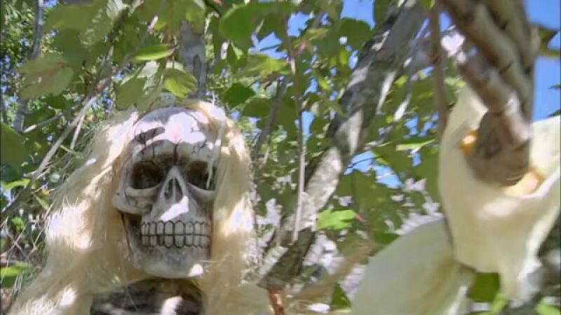 Jimmy reaviva el espíritu de Halloween de la plantilla