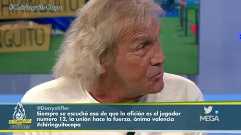 Loco Gatti Loco Gatti