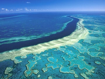 La gran barrera de coral