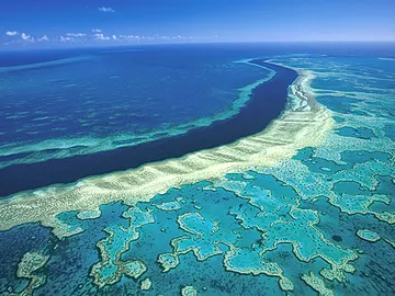 La gran barrera de coral La gran barrera de coral