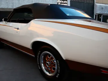 Locos por los coches Locos por los coches