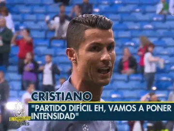 Detalles Chamipons Detalles Chamipons