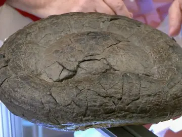 Frame 31.690536 de: ¿Cuánto costaría una roca con forma de caca? Frame 31.690536 de: ¿Cuánto costaría una roca con forma de caca?