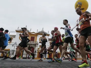 14.0000 corredores baten récord de participación del Zúrich Maratón de Sevilla  14.0000 corredores baten récord de participación del Zúrich Maratón de Sevilla