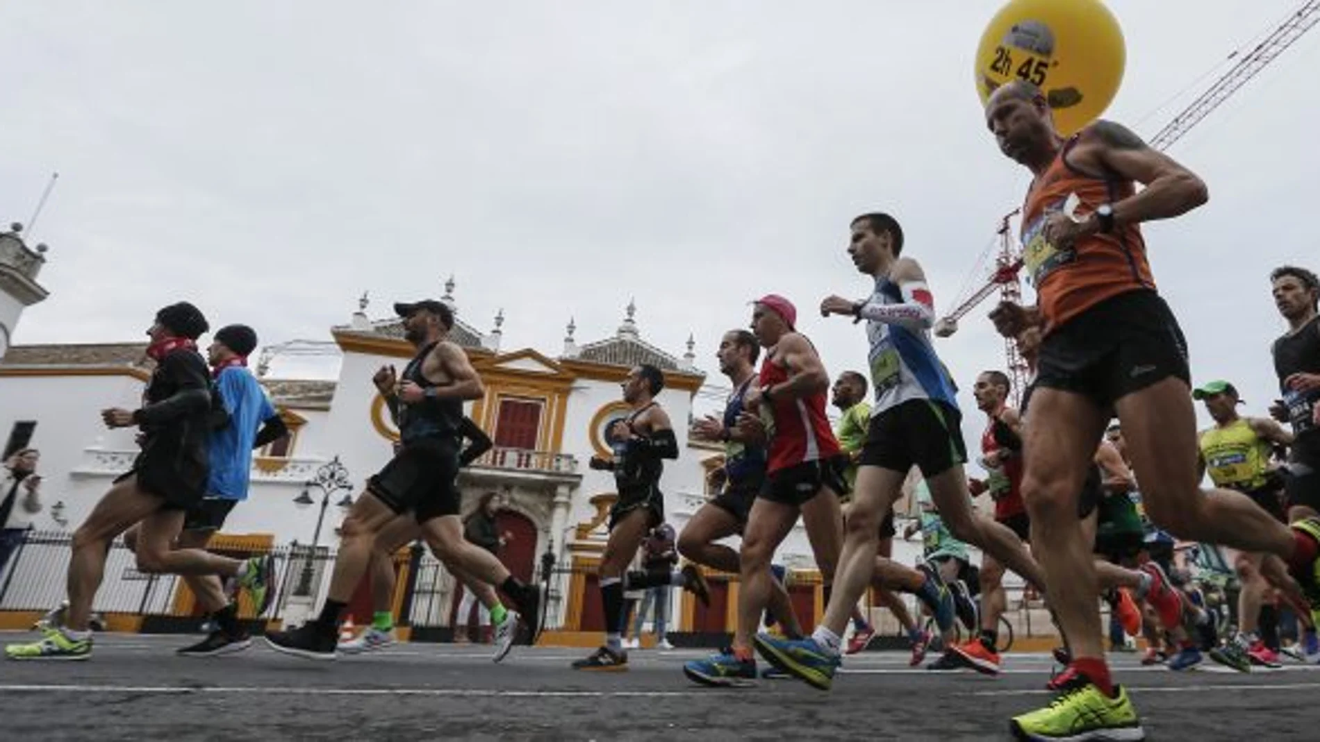 14.0000 corredores baten récord de participación del Zúrich Maratón de Sevilla 