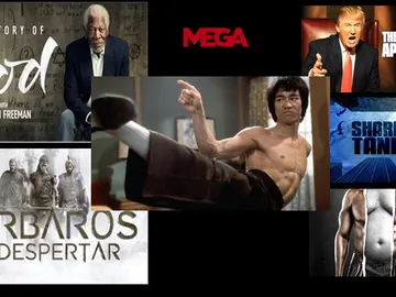 Novedades de MEGA Novedades de MEGA