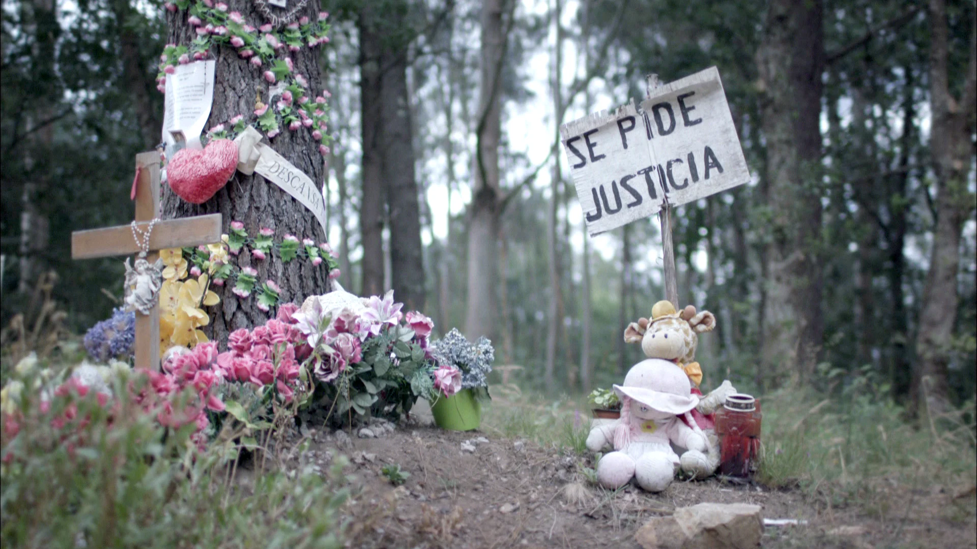 Lo que la verdad esconde: Caso Asunta