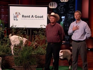 Unas cabras, el mejor método para arreglar tu jardín