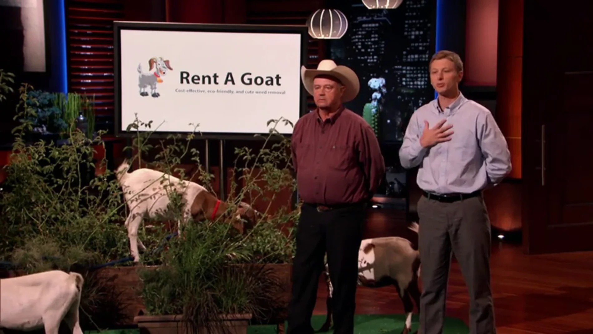 Unas cabras, el mejor método para arreglar tu jardín