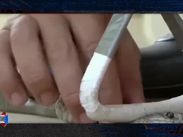 Uno de los brokers más importantes a la caza de serpientes Uno de los brokers más importantes a la caza de serpientes