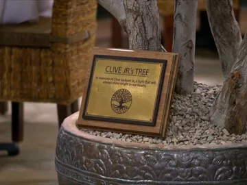 Un árbol para salvar un restaurante Un árbol para salvar un restaurante