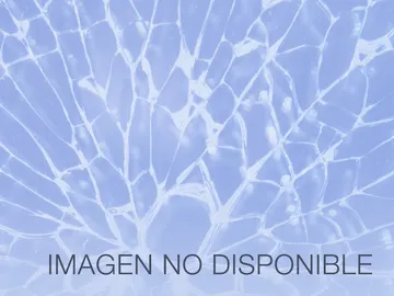 Imagen no disponible Imagen no disponible