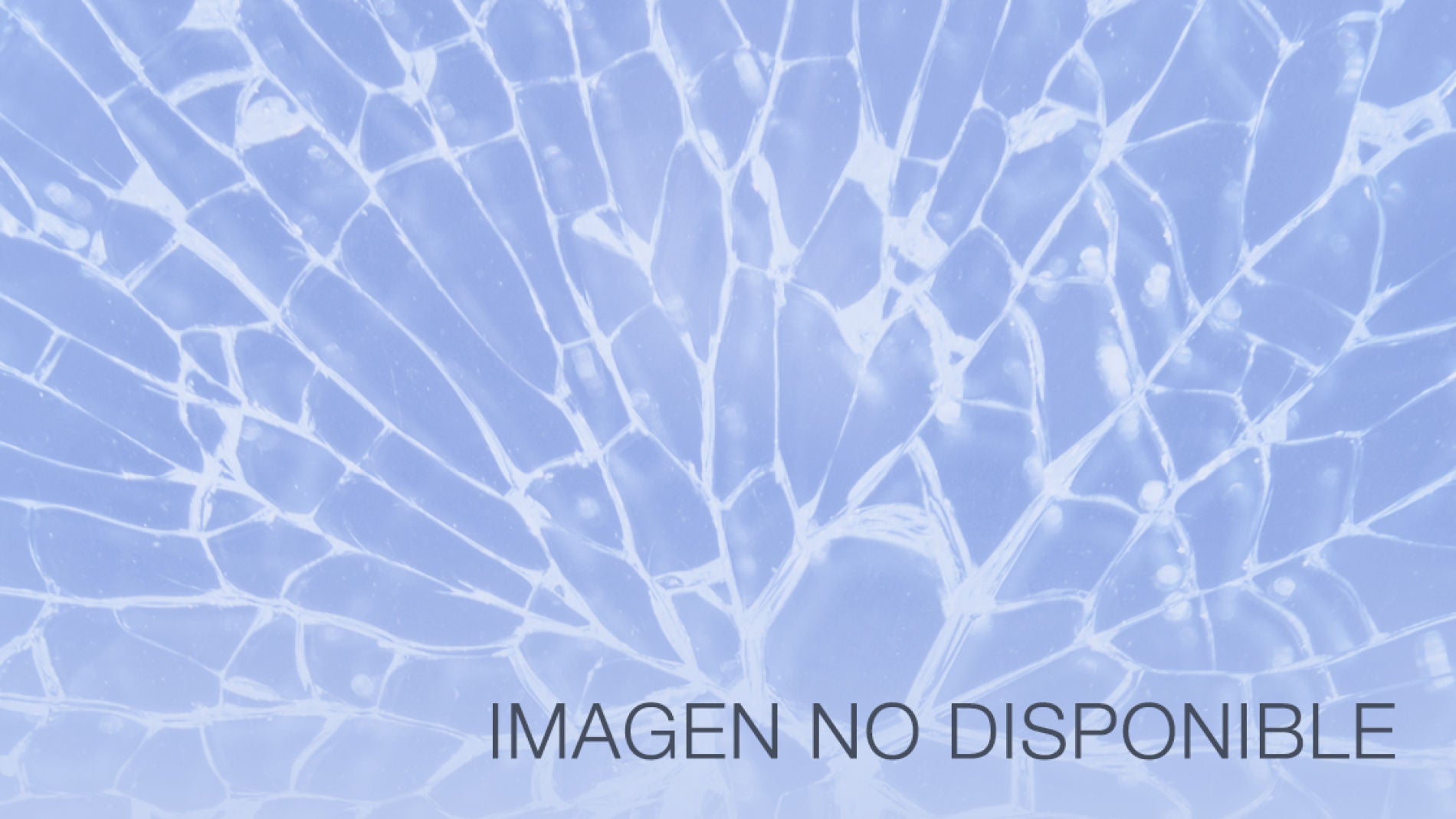 Imagen no disponible