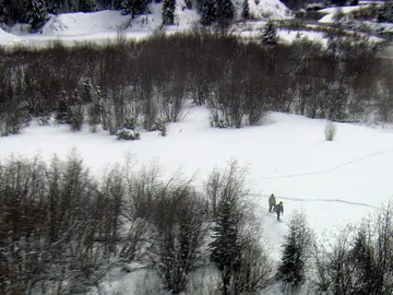 Tom en busca de lobos Tom en busca de lobos