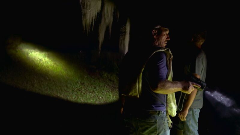 Descubren a la pitón en una carretera