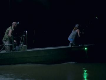 Se resiste la caza nocturna del caimán para la pareja de Luisiana