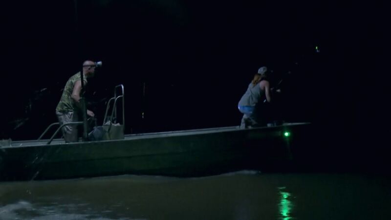 Se resiste la caza nocturna del caimán para la pareja de Luisiana