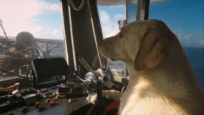 Steve nunca sale a faenar sin su compañero de cuatro patas Gus