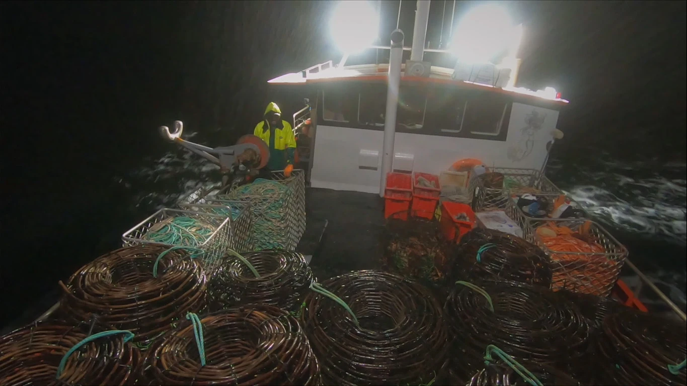 Una noche complicada en el mar Cazadores de langostas