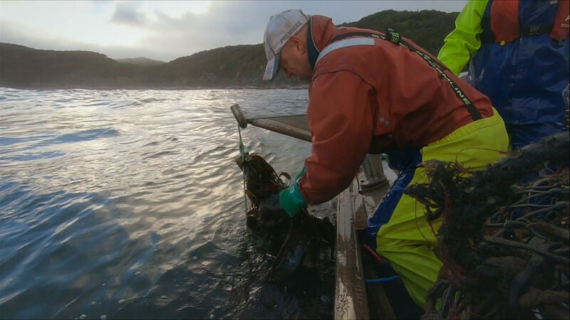 El gran peligro de pescar langostas en las rocas