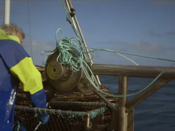 Nuevo peligro en el barco Nuevo peligro en el barco