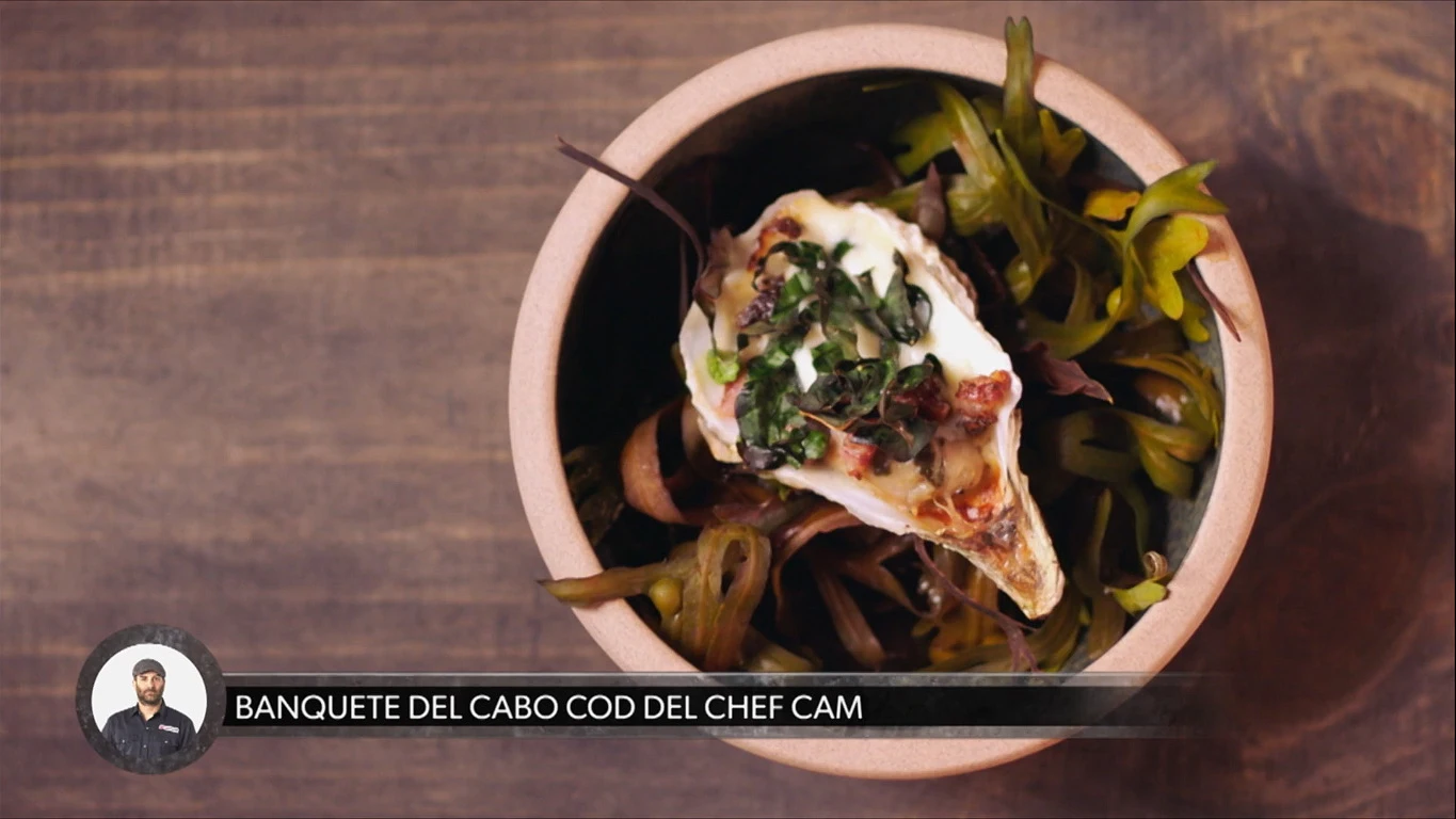 Recetas del Cabo Cod Maestros de la parrilla