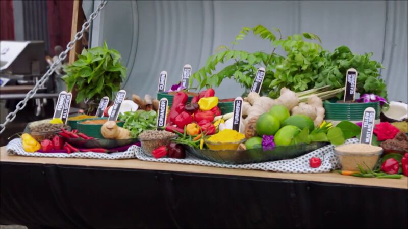 ¿Cuántas recetas se pueden hacer con curry como condimento principal?