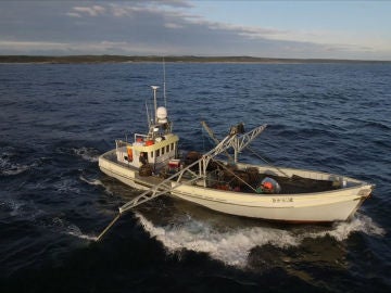 Tipos de barcos langosteros