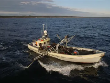 Tipos de barcos langosteros Tipos de barcos langosteros