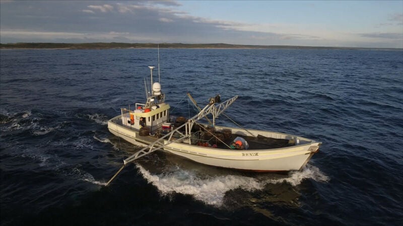 ¿Cuántos tipos de barcos langosteros hay en Tasmania?