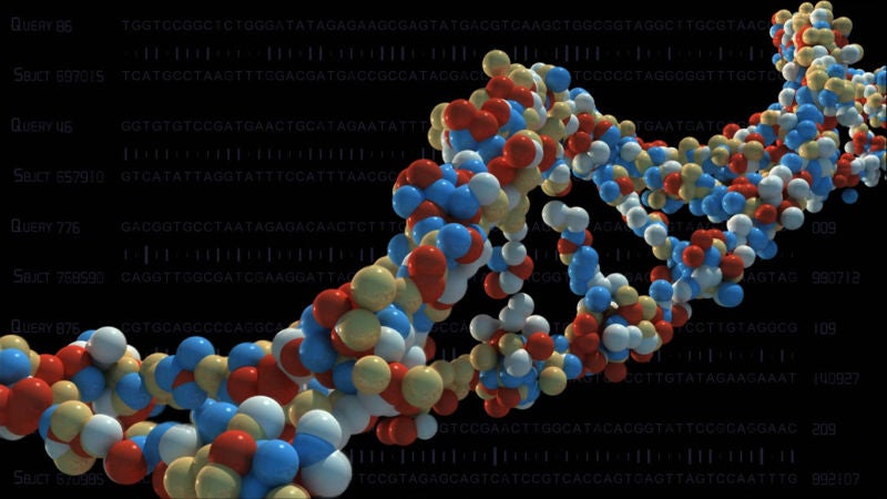 ¿Se pueden heredar traumas que no se han vivido? Un estudio da la respuesta
