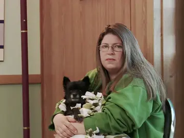 Tener una camada tras otra desequilibra las hormonas de los perros Tener una camada tras otra desequilibra las hormonas de los perros