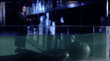 El gobierno estadounidense podría estar ocultando extraterrestres vivos