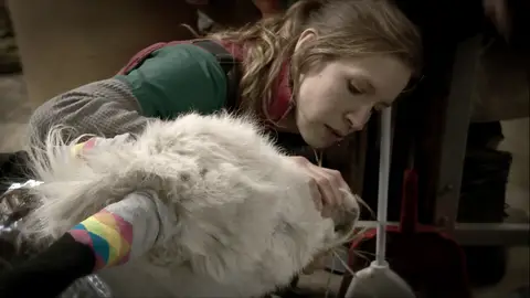 El Dr. Pol intenta curar a este asno El increíble Dr. Pol