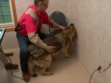 Algo le pasa a Jack Algo le pasa a Jack