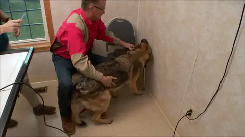 Algo le pasa a Jack El increíble Dr. Pol