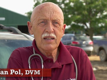 El Dr. Pol