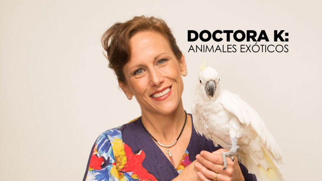 Doctora K: Animales ex&oacute;ticos