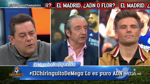 Quique de Lucas: "El ADN del Madrid está en su sala de trofeos" Quique de Lucas: "El ADN del Madrid está en su sala de trofeos"