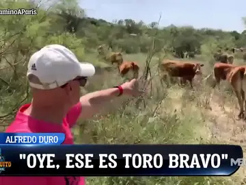 Alfredo Duro se reencuentra con toros en su camino