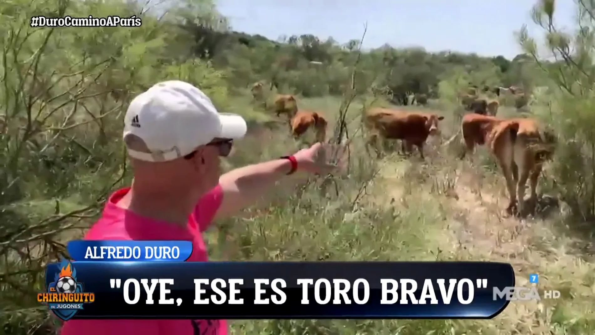 Alfredo Duro se reencuentra con toros en su camino