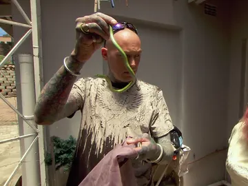 Serpientes en la ciudad Serpientes en la ciudad