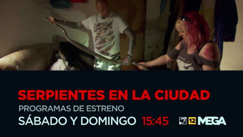 Nueva entrega de 'Serpientes en la ciudad' en mega a las 15:45 horas