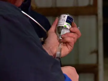 El caballo de Lori entre la vida y la muerte El caballo de Lori entre la vida y la muerte