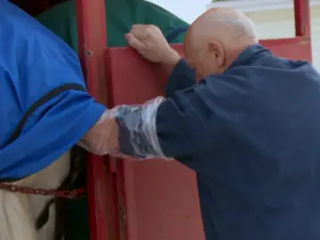 Una yegua embarazada por sorpresa Una yegua embarazada por sorpresa