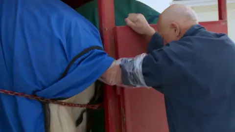 Una yegua embarazada por sorpresa Una yegua embarazada por sorpresa