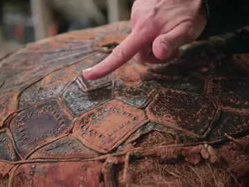 Un nuevo reto para los restauradores: un cojín de egipcio de 1917 en muy malas condiciones Un nuevo reto para los restauradores: un cojín de egipcio de 1917 en muy malas condiciones