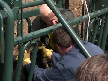 El Dr. Pol trabajando El Dr. Pol trabajando